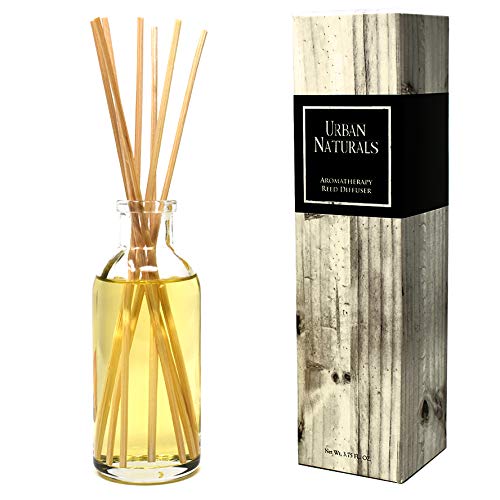 Urban Naturals Reed Diffuser Set, Apple Cinnamon - Bathroom Shelf Décor