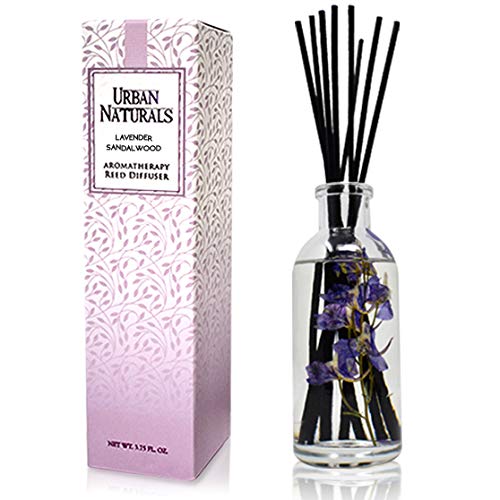 Urban Naturals Reed Diffuser Set, Apple Cinnamon - Bathroom Shelf Décor