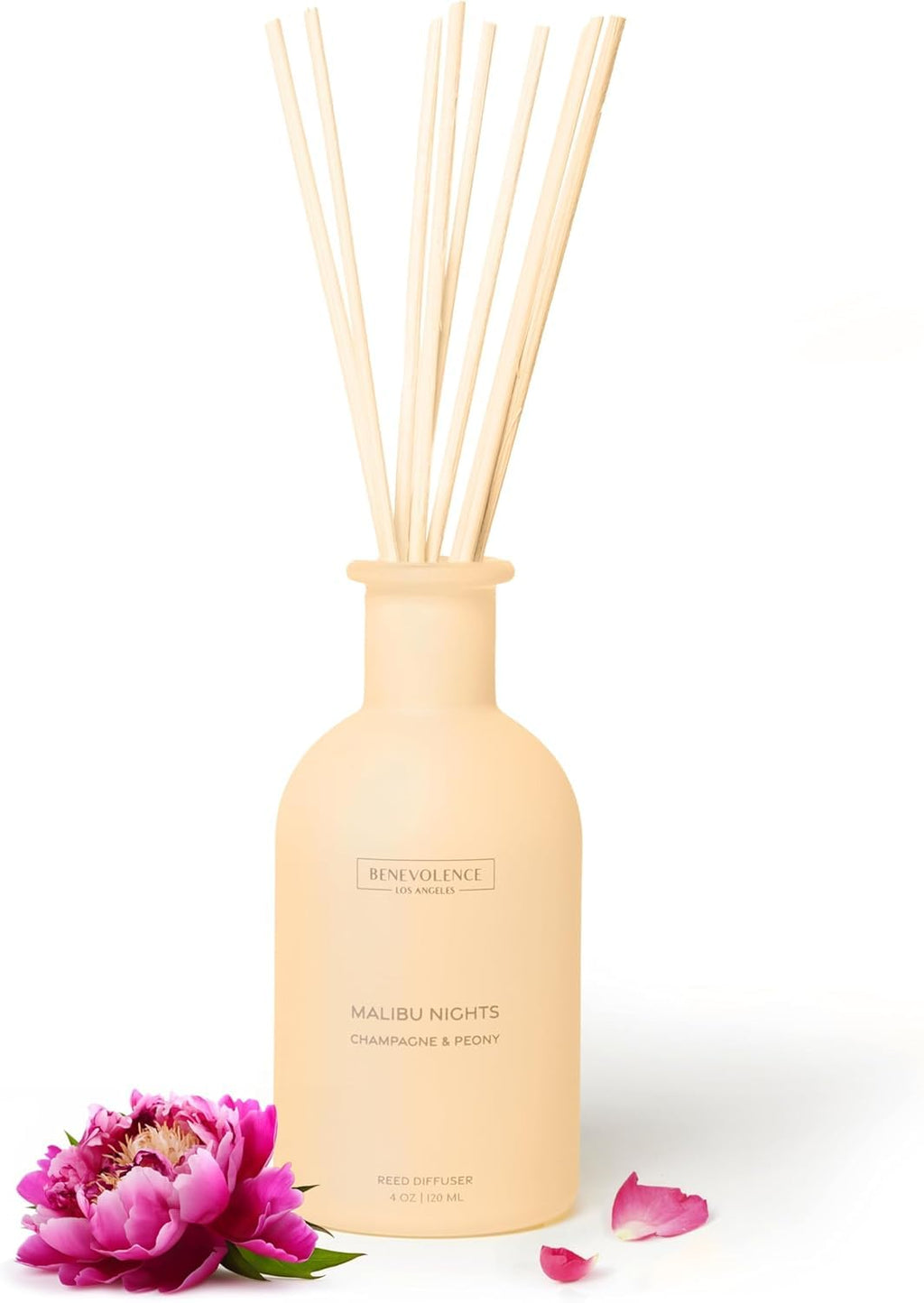 Benevolence LA Reed Diffuser for Home | Eucalyptus, Fig & Sandalwood | Elegant Home & Bathroom Decor | Fragrance Diffuser with Sticks for Bathroom - Malibu Sands Collection