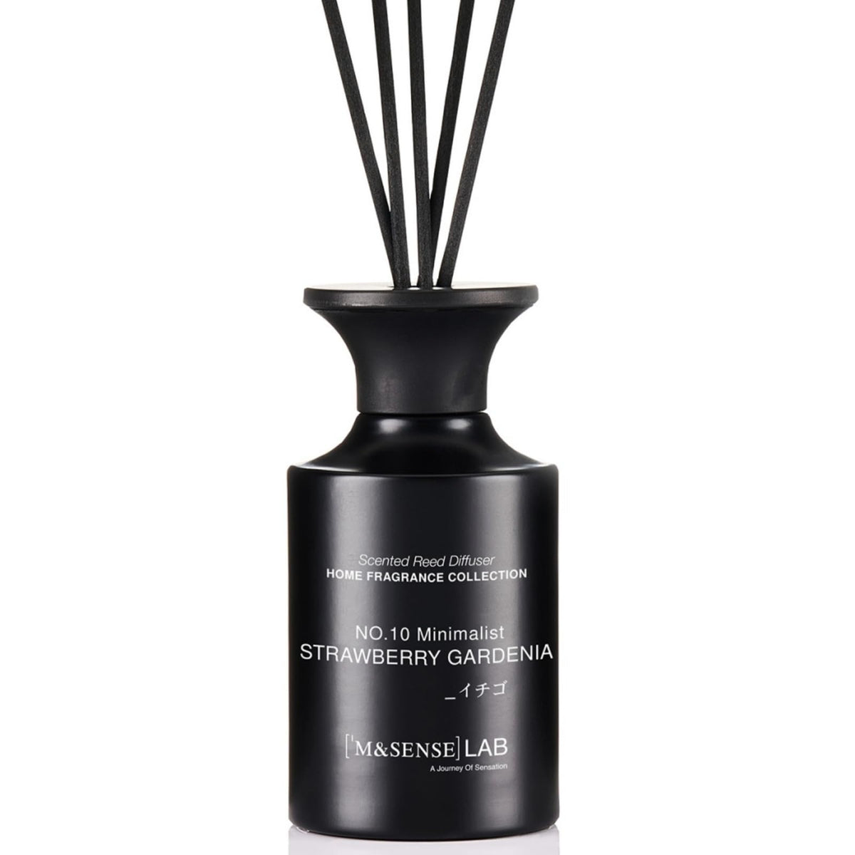 M&SENSE Minimalist Large Reed Diffuser 300ml, Vanilla Sandalwood Scented with Natural Essential Oils, Long Lasting with 7 Sticks, Non-Toxic Home Fragrance for Bedroom, Bathroom Decor