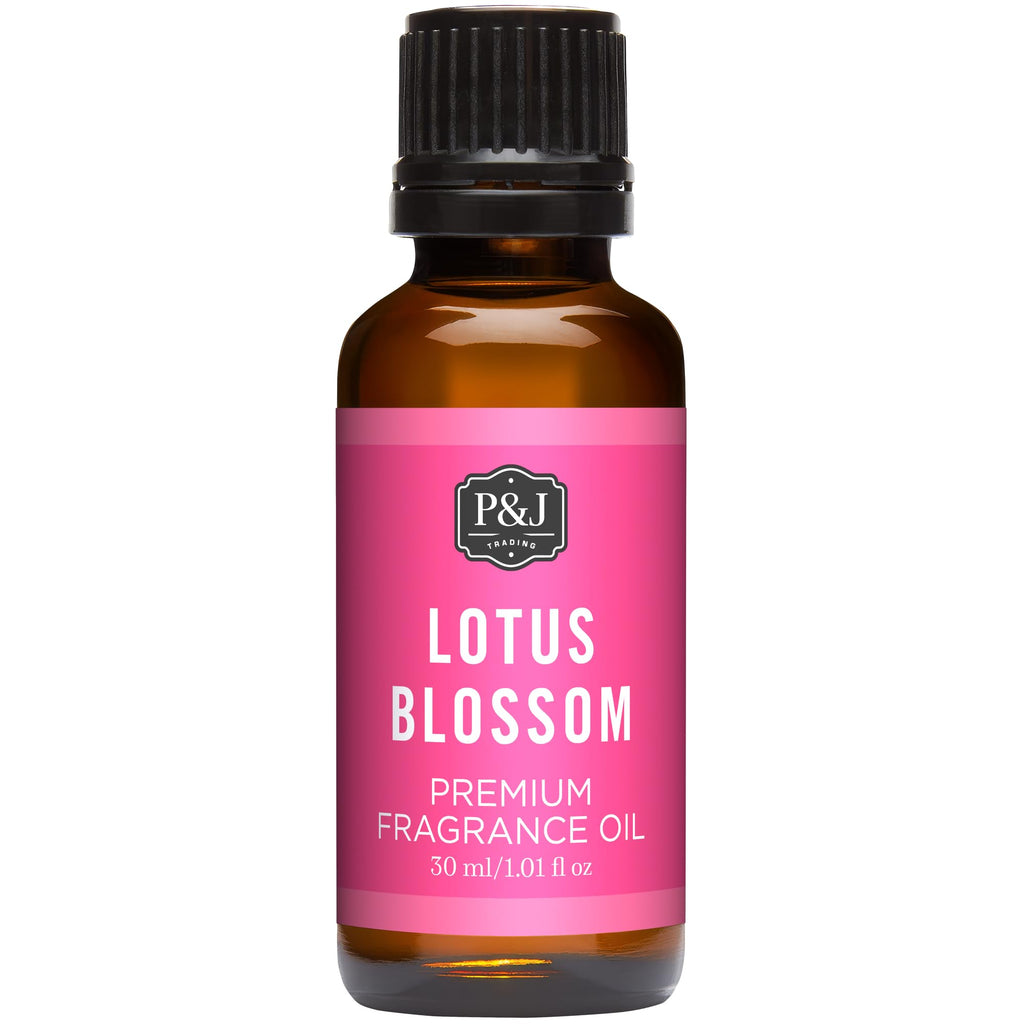 P&J Trading Fragrance Oils for Diffusers for Home Spice Set Fragrance Scents for Candle Making - Soap Making Supplies - Car Diffuser Scents - Essential Home Gift Set - Apple Cider, Cinnamon & More