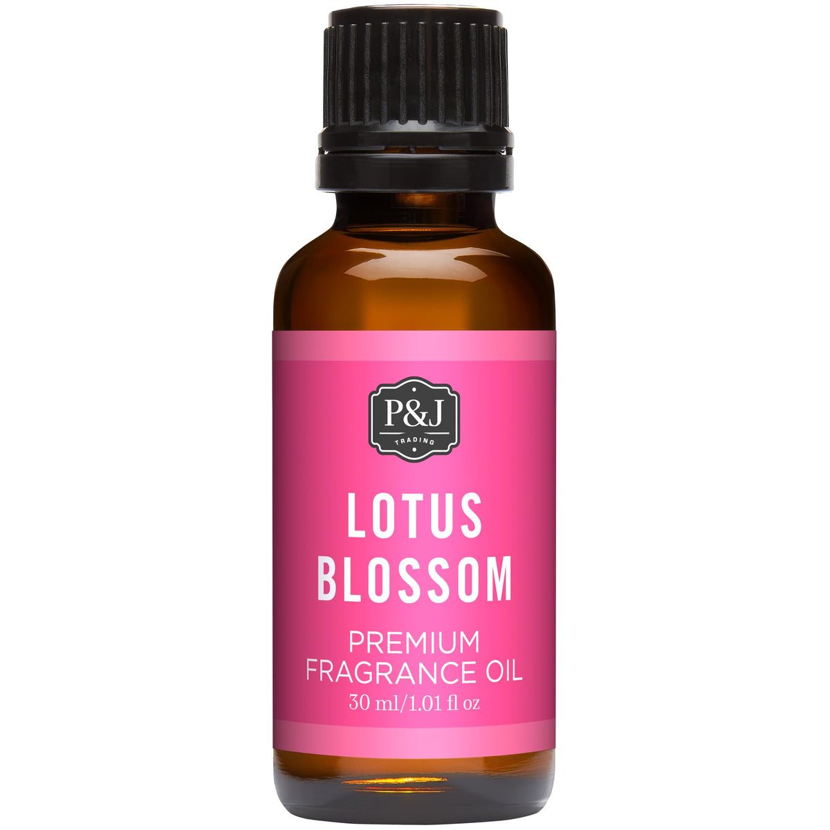 P&J Trading Fragrance Oils for Diffusers for Home Spice Set Fragrance Scents for Candle Making - Soap Making Supplies - Car Diffuser Scents - Essential Home Gift Set - Apple Cider, Cinnamon & More