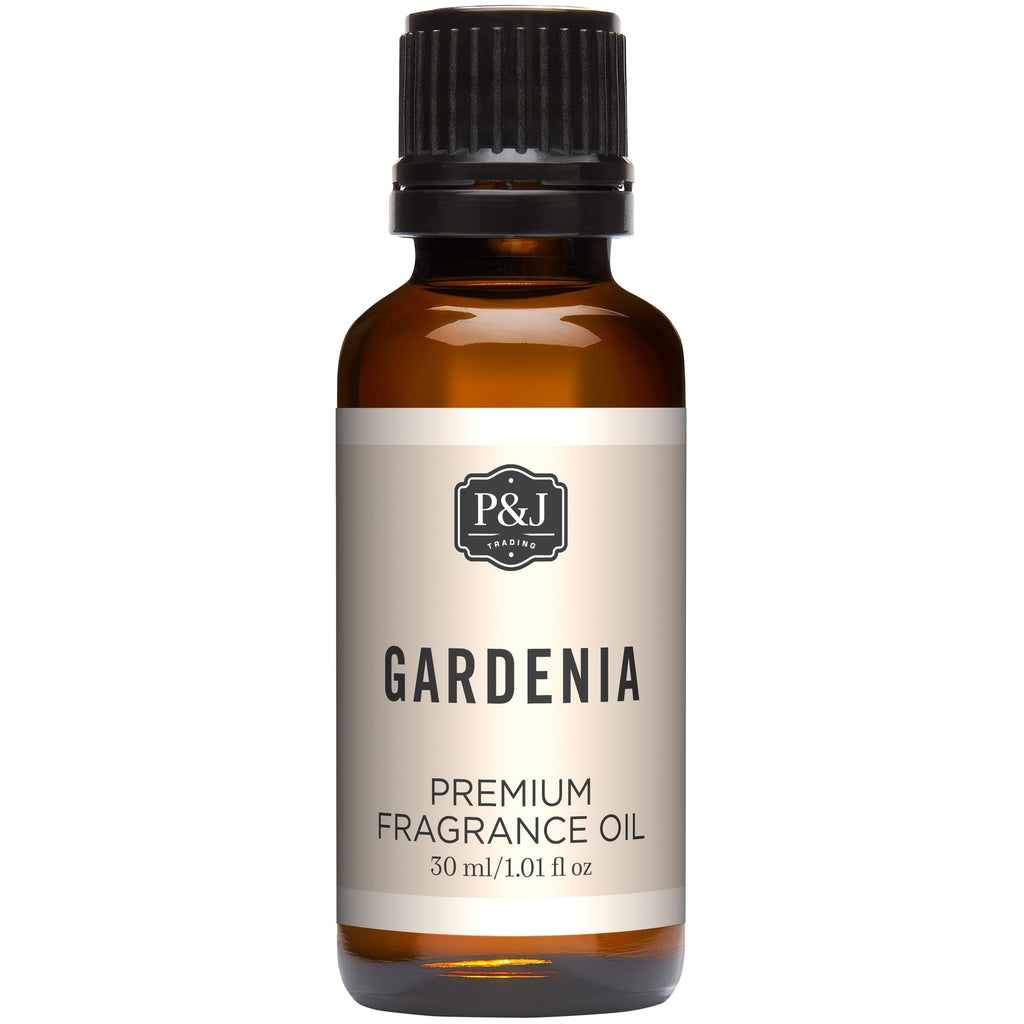 P&J Trading Fragrance Oils for Diffusers for Home Spice Set Fragrance Scents for Candle Making - Soap Making Supplies - Car Diffuser Scents - Essential Home Gift Set - Apple Cider, Cinnamon & More