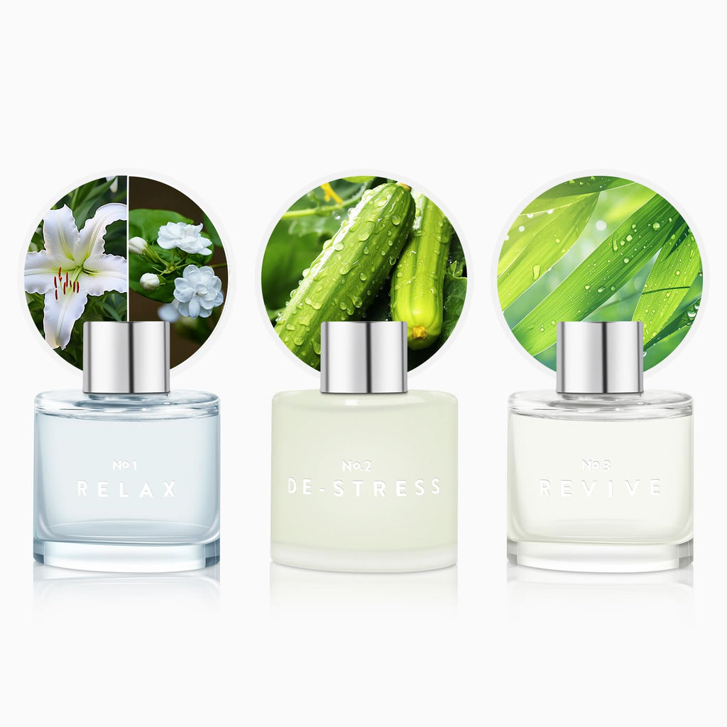 3 Pack Fragrance Reed Diffuser, 50ML Lavender Jasmine Lemongrass