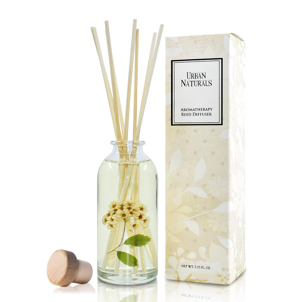Urban Naturals Reed Diffuser Set, Apple Cinnamon - Bathroom Shelf Décor