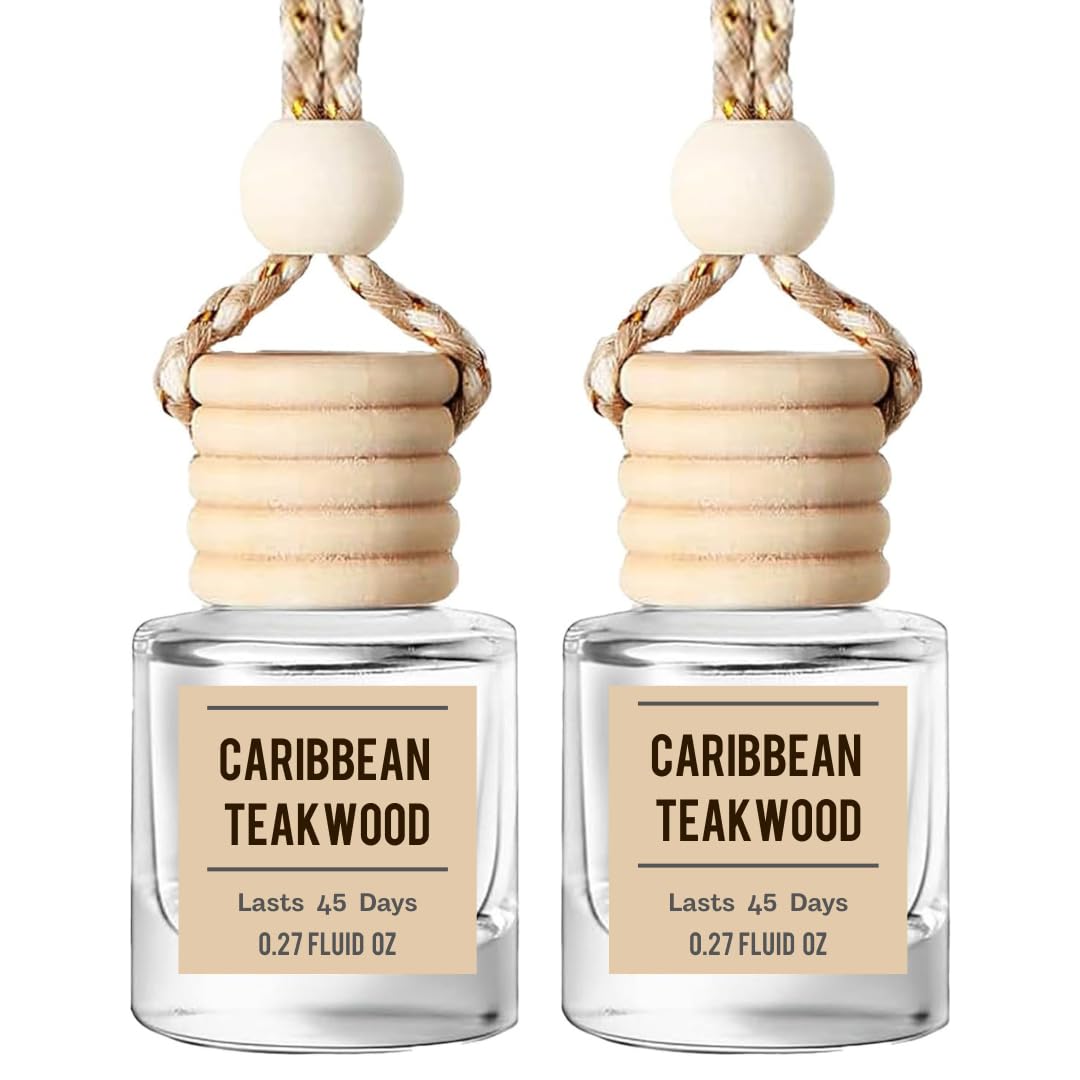 Amber & Vanilla Hanging Car Air Freshener & Oil Diffuser, 2-Pack