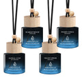 Car Air Freshener Hanging 2 Pack Car Fresheners Diffuser - Amber Vanilla Car Scents Essential Oil Air Diffuser, 45+ days Long Lasting Fragrance Air Fresheners, Two 0.27 FL OZ/8ML Made in USA