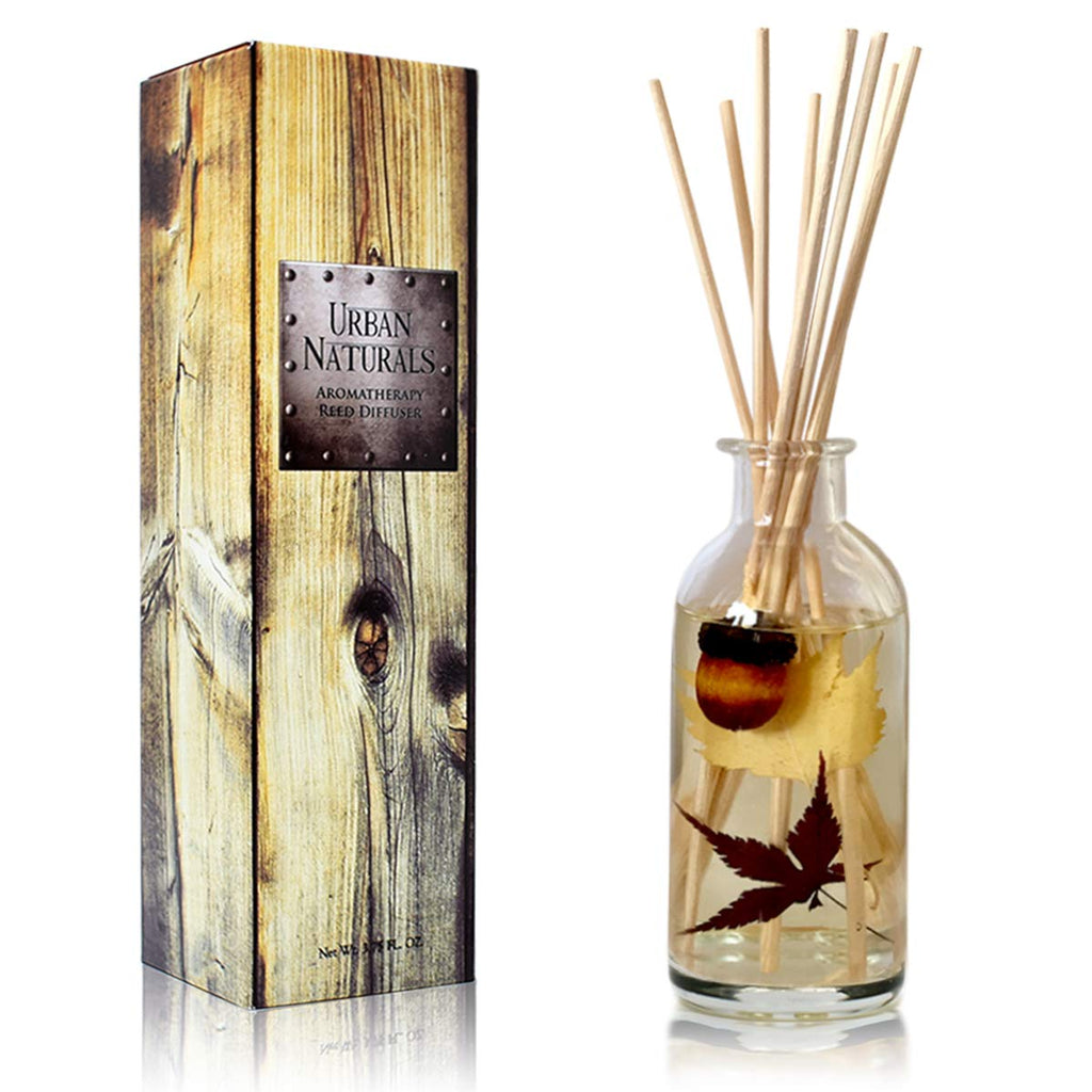 Urban Naturals Reed Diffuser Set, Apple Cinnamon - Bathroom Shelf Décor