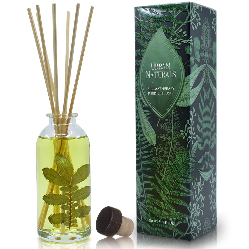 Urban Naturals Reed Diffuser Set, Apple Cinnamon - Bathroom Shelf Décor