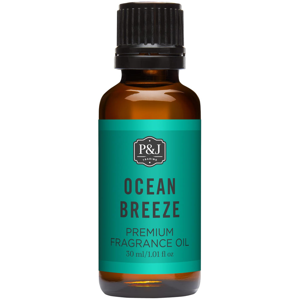 P&J Trading Fragrance Oils for Diffusers for Home Spice Set Fragrance Scents for Candle Making - Soap Making Supplies - Car Diffuser Scents - Essential Home Gift Set - Apple Cider, Cinnamon & More