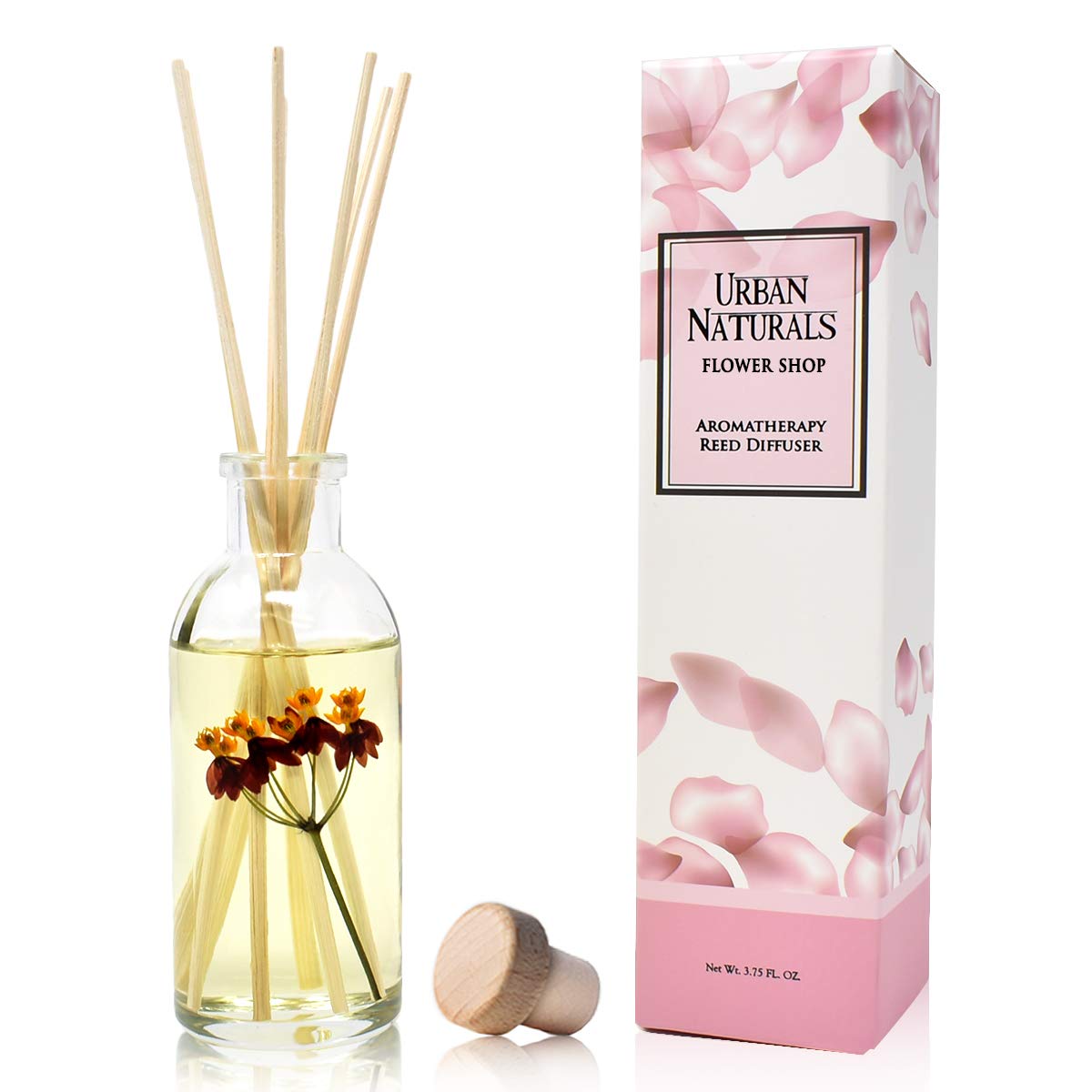 Urban Naturals Reed Diffuser Set, Apple Cinnamon - Bathroom Shelf Décor