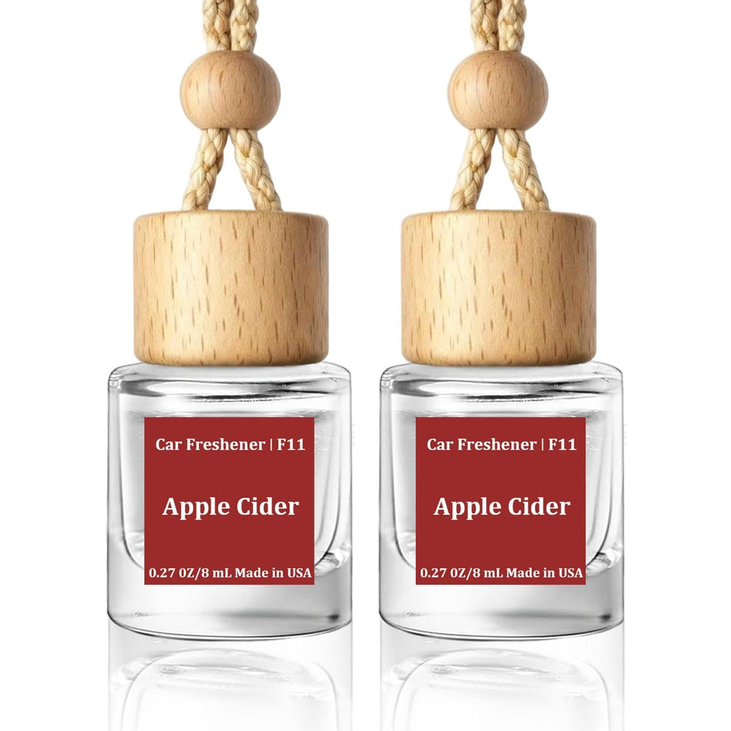 HoogaLife Car Air Freshener Diffuser 2 Pack Hanging Air Freshener Diffuser - Pink Sparkle Champagne Fragrance Oil Air Diffuse r for Car, 45+ Days Long Lasting Fragrance Made in USA (P38)