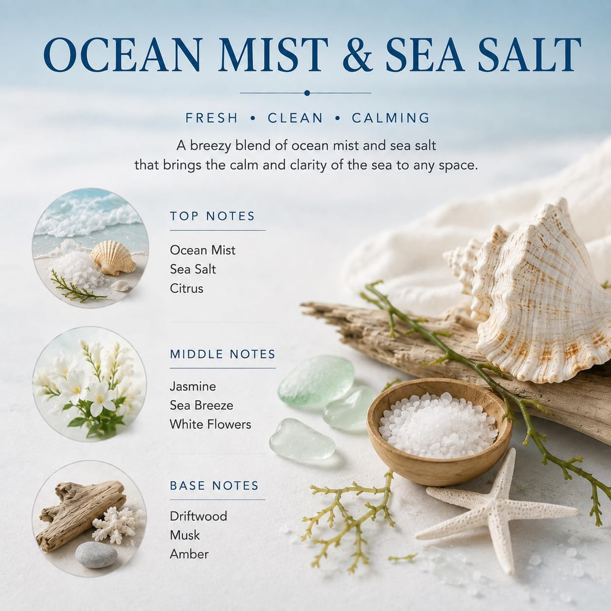 Airkeep Reed Diffuser Set,3.38 fl oz (100 ml) - Ocean Mist&Sea Salt Oil Diffusers with 8 Reed Sticks,Home Fragrance Reed Diffuser for Bathroom Shelf Decor