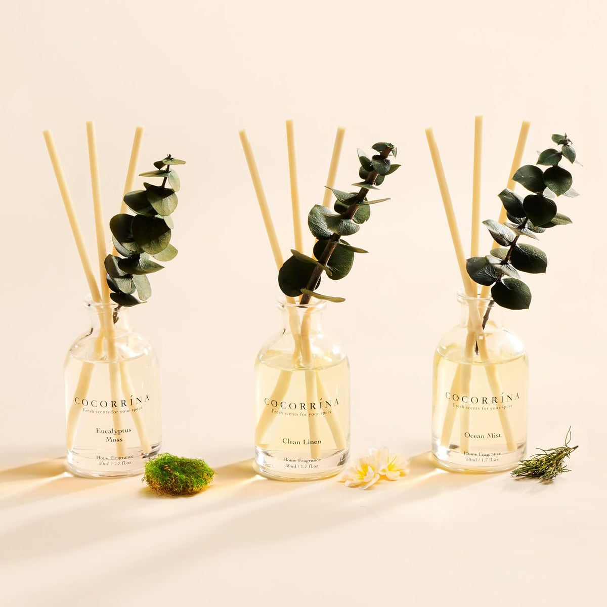 COCORRÍNA Reed Diffuser Set of 3 with Dried Eucalyptus for Home & Office