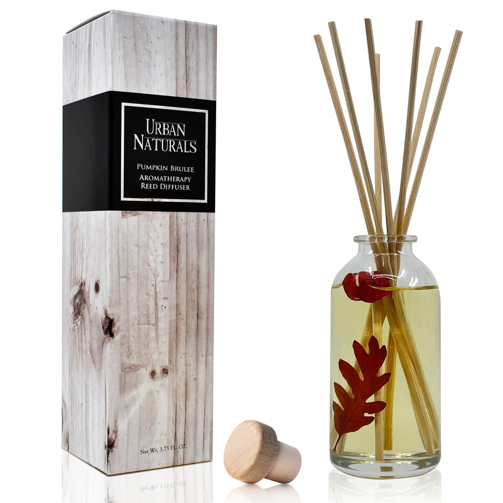 Urban Naturals Reed Diffuser Set, Apple Cinnamon - Bathroom Shelf Décor