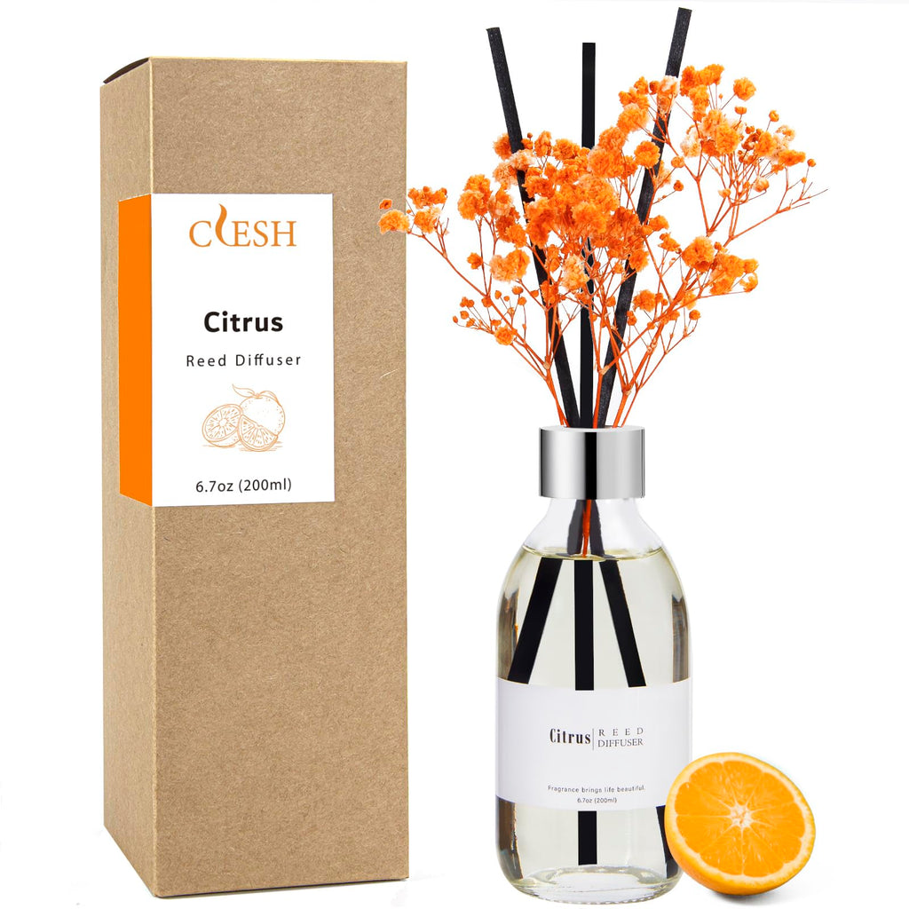 Clesh Reed Diffuser Set, 6.7 oz Eucalyptus Scented Diffuser with Sticks, Home Fragrance Reed Diffuser for Bathroom Shelf Decor