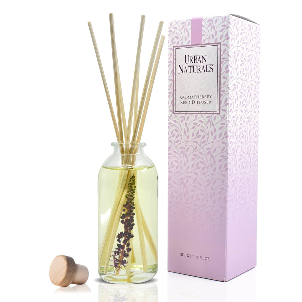 Urban Naturals Reed Diffuser Set, Apple Cinnamon - Bathroom Shelf Décor