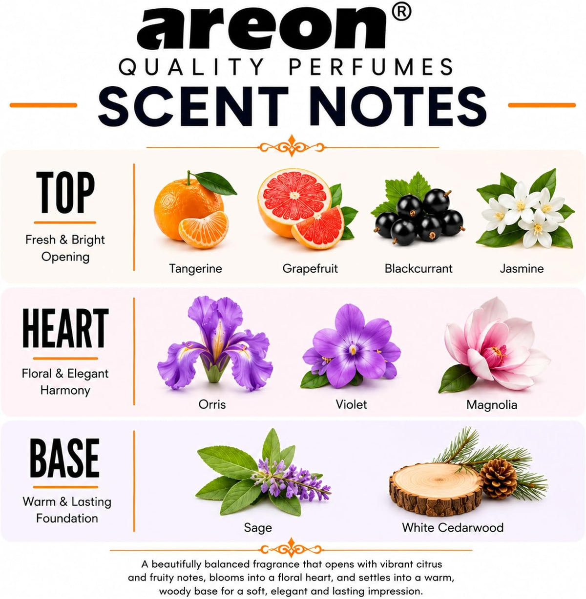 Areon Osmanthus Home Luxury Perfume Reed Diffuser,10 Rattan Reeds,50ml