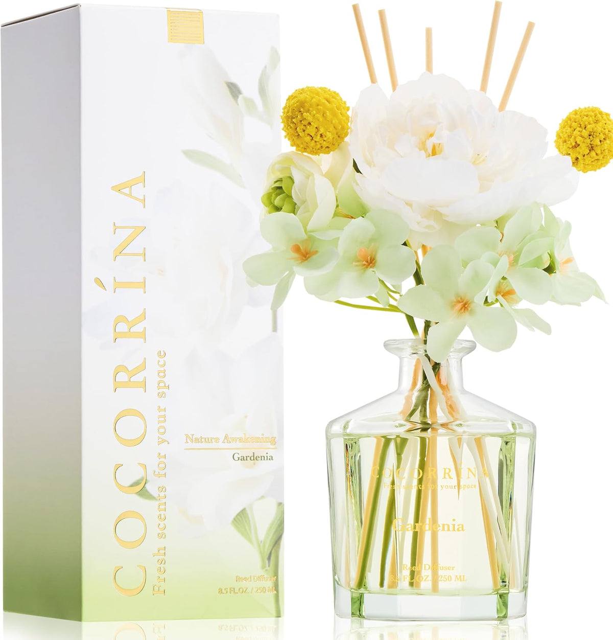 COCORRÍNA Reed Diffuser - Cashmere Vanilla Flower Reed Diffuser Set with 8 Sticks, Home Fragrance Reed Diffuser for Home Bedroom Office Bathroom Shelf Decor (Master Collection)