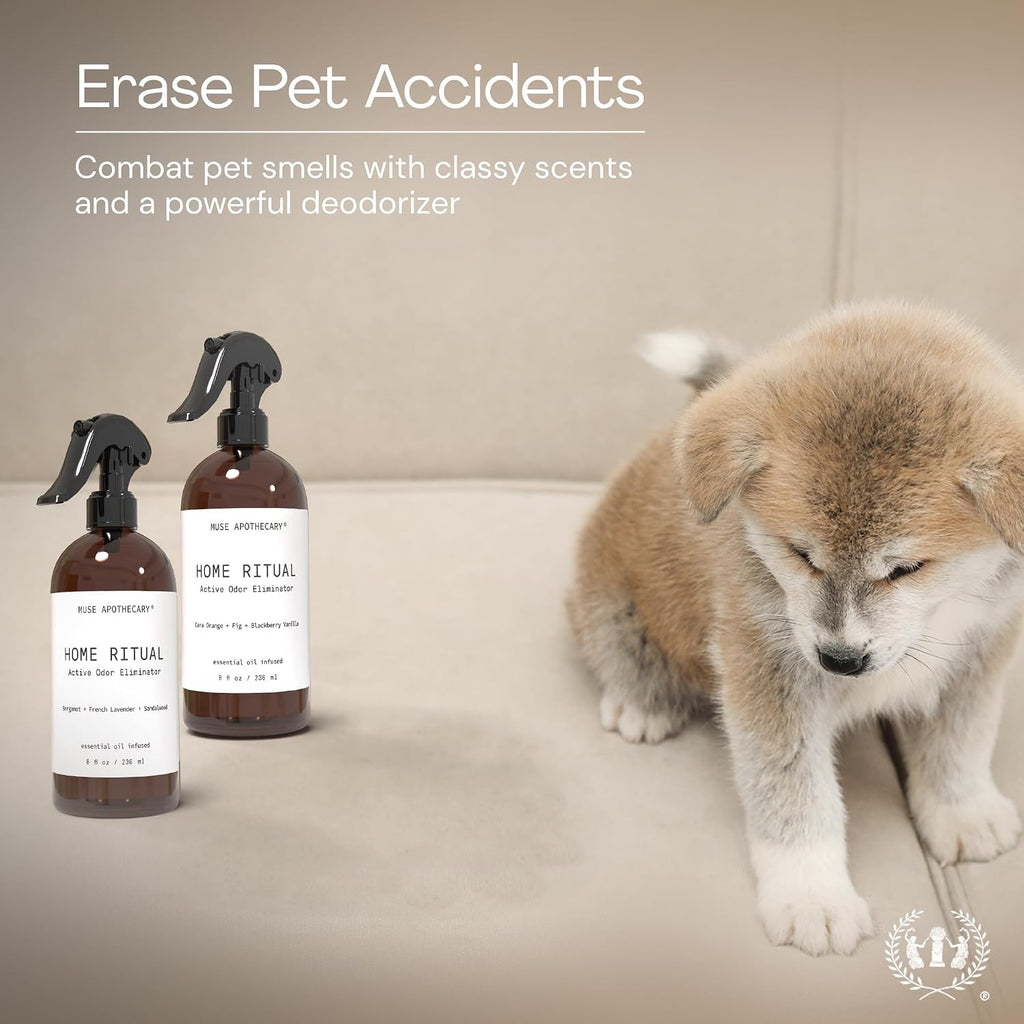 Muse Apothecary Home Ritual Active Odor Eliminator Spray - Furniture Deodorizer Spray & Bathroom Odor Eliminator for Home - Essential Oil Air Freshener - 4oz, Bergamot + French Lavender + Sandalwood