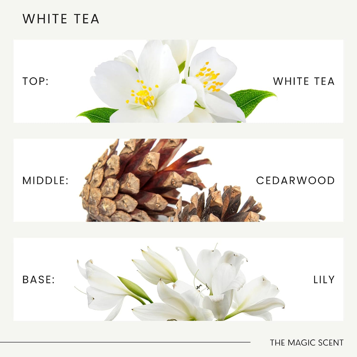 The Magic Scent White Tea Oil Reed Diffuser Set, 3.4 Fl Oz Reed Diffusers