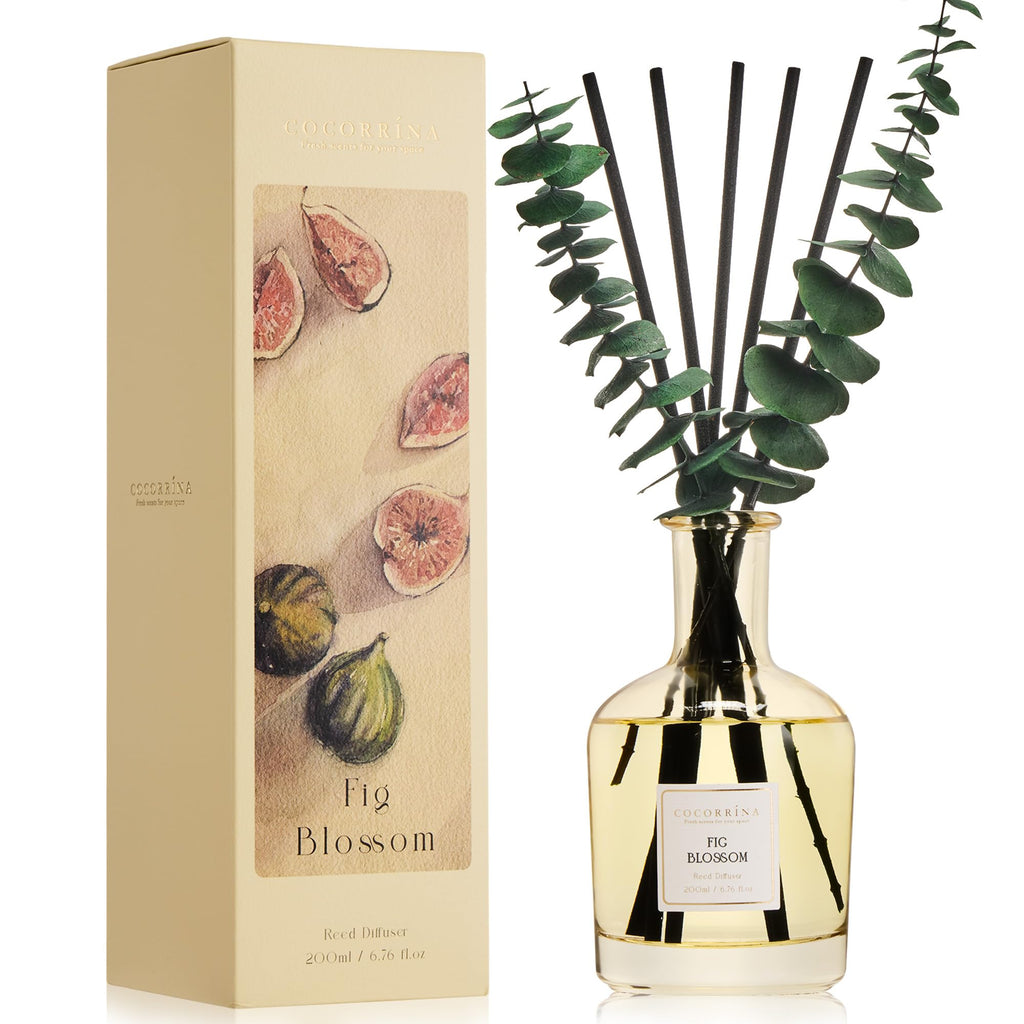 COCORRÍNA Wild Mint & Eucalyptus Reed Diffuser, 6.76 oz