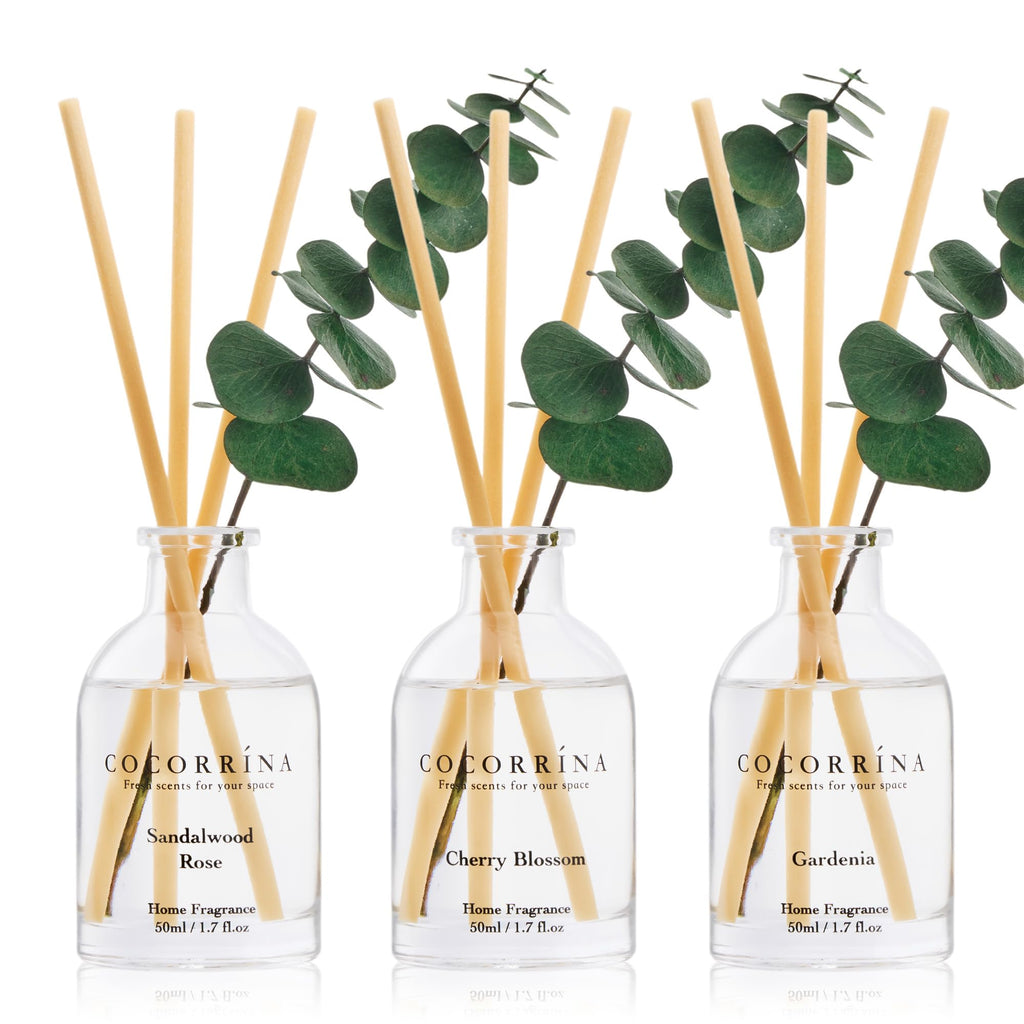 COCORRÍNA Reed Diffuser Set of 3 with Dried Eucalyptus for Home & Office