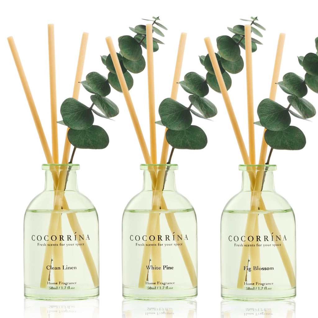 COCORRÍNA Reed Diffuser Set of 3 with Dried Eucalyptus for Home & Office