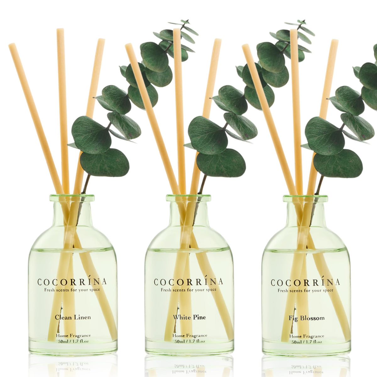 COCORRÍNA Reed Diffuser Set of 3 with Dried Eucalyptus for Home & Office