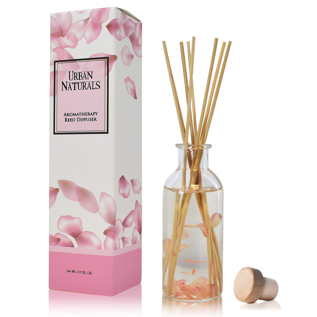Urban Naturals Reed Diffuser Set, Apple Cinnamon - Bathroom Shelf Décor
