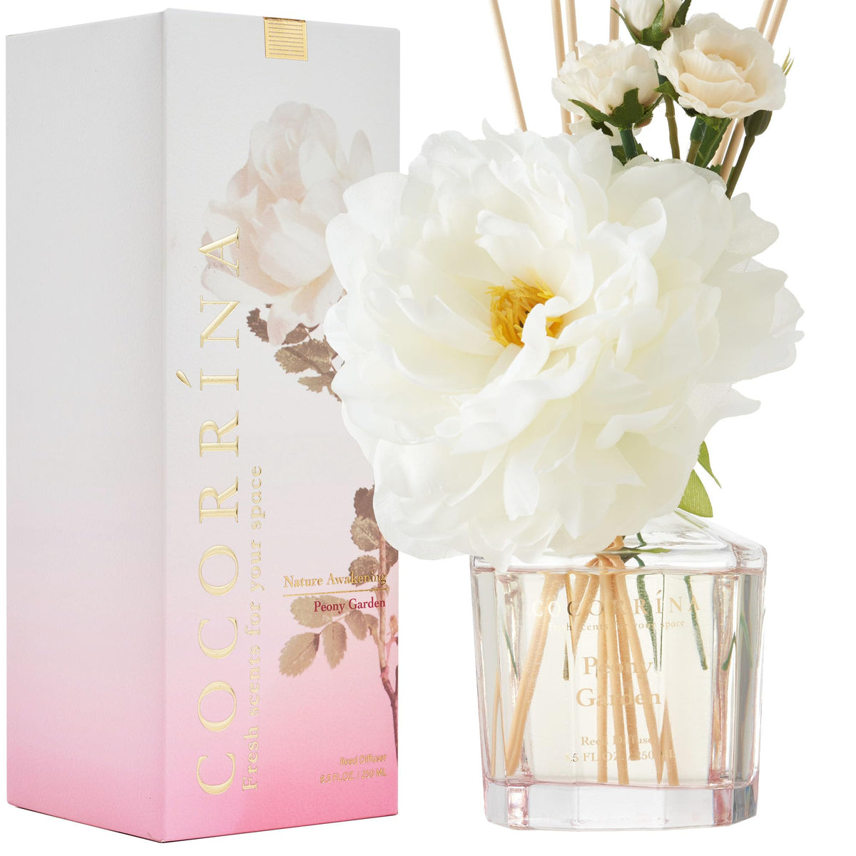 COCORRÍNA Reed Diffuser - Cashmere Vanilla Flower Reed Diffuser Set with 8 Sticks, Home Fragrance Reed Diffuser for Home Bedroom Office Bathroom Shelf Decor (Master Collection)