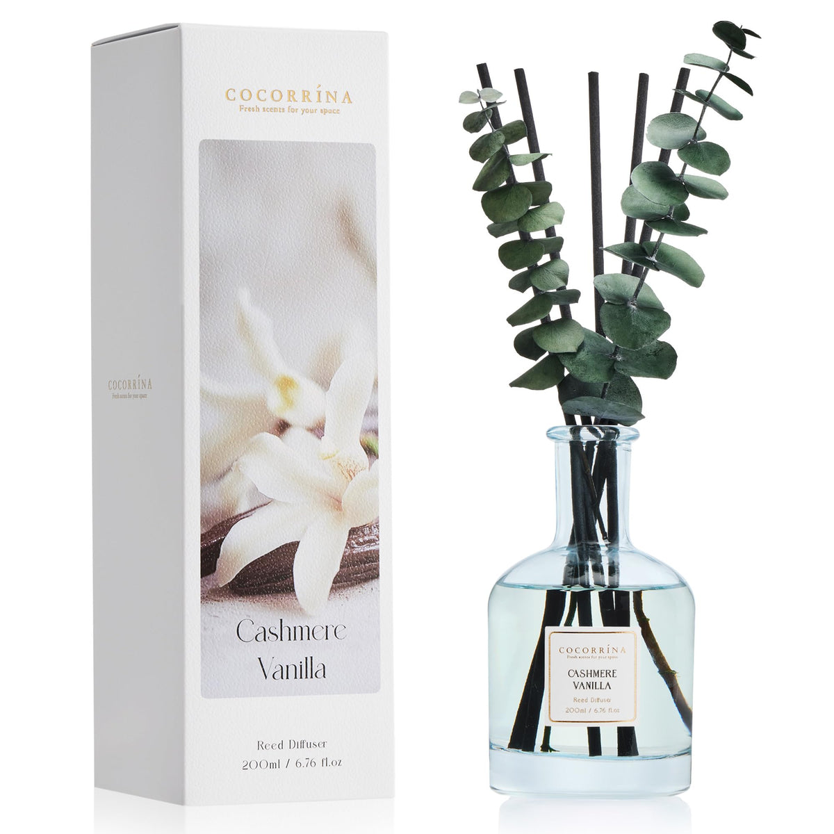 COCORRÍNA Wild Mint & Eucalyptus Reed Diffuser, 6.76 oz