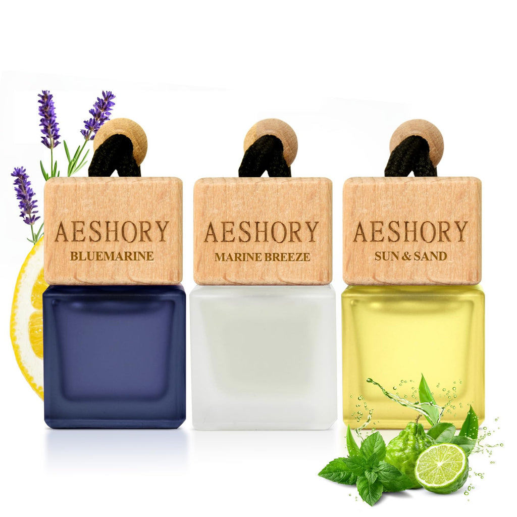 Aeshory 3 Pack Hanging Car Air Freshener, Cozy Autumn Scents, Long Lasting Essential Oil Diffuser, Odor Eliminator, Elegant Car Decor, Ideal Gift for Fall & Daily Use