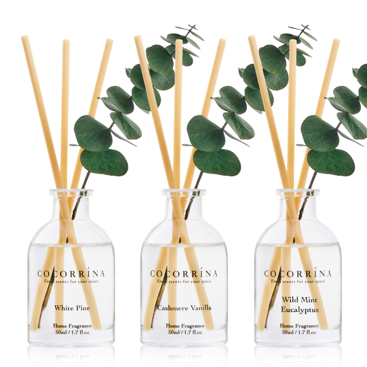 COCORRÍNA Reed Diffuser Set of 3 with Dried Eucalyptus for Home & Office