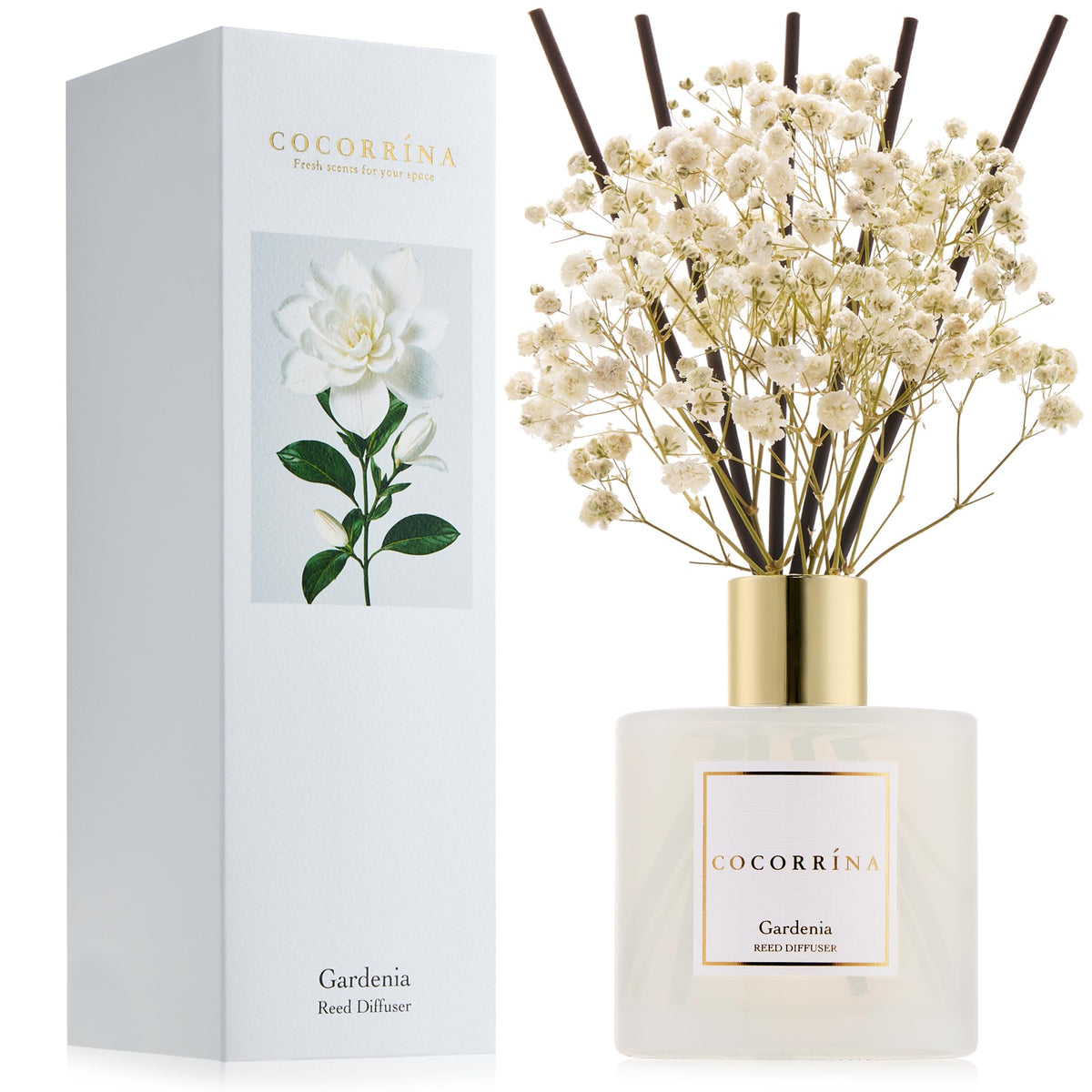 Cocorrína Premium Reed Diffuser Set with Preserved Baby's Breath & Cotton Stick Lavender Thyme | 6.76 Fl.oz Scent Diffuser for Bedroom Bathroom Home Décor