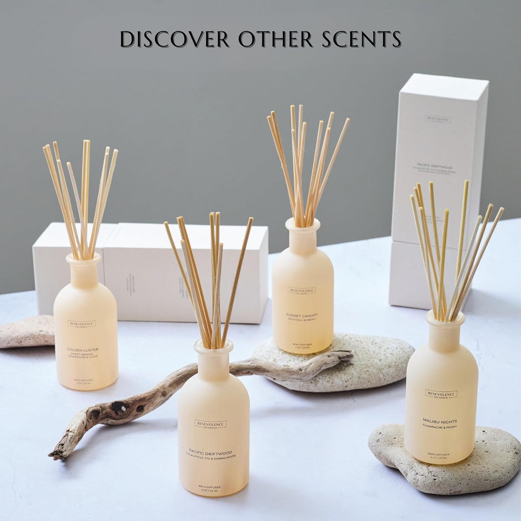 Benevolence LA Reed Diffuser for Home | Eucalyptus, Fig & Sandalwood | Elegant Home & Bathroom Decor | Fragrance Diffuser with Sticks for Bathroom - Malibu Sands Collection