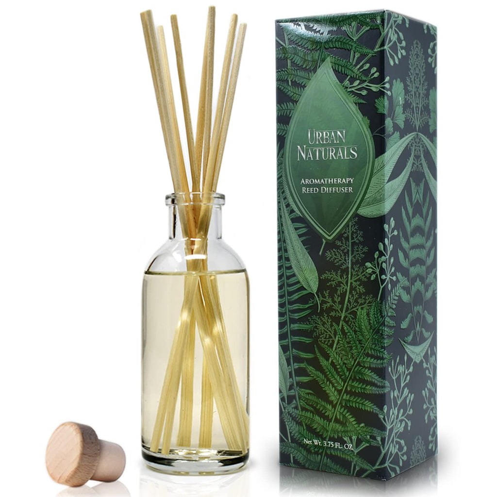 Urban Naturals Reed Diffuser Set, Apple Cinnamon - Bathroom Shelf Décor