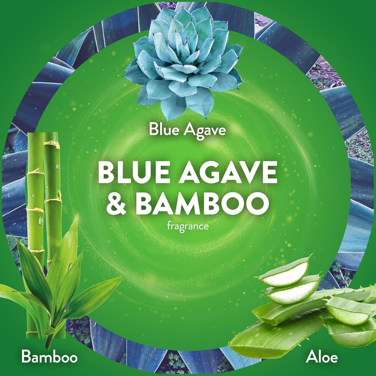 Air Wick Plug In Refills, Blue Agave and Bamboo, Essential Oils,10 count