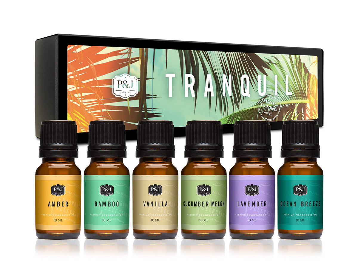 P&J Trading Fragrance Oils for Diffusers for Home Spice Set Fragrance Scents for Candle Making - Soap Making Supplies - Car Diffuser Scents - Essential Home Gift Set - Apple Cider, Cinnamon & More