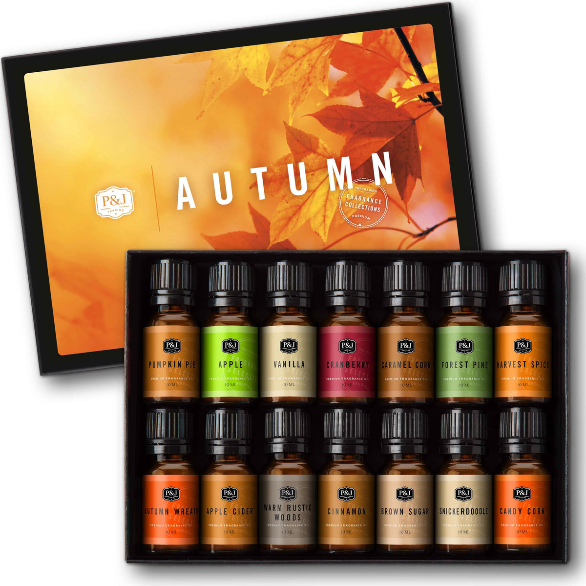 P&J Trading Fragrance Oils for Diffusers for Home Spice Set Fragrance Scents for Candle Making - Soap Making Supplies - Car Diffuser Scents - Essential Home Gift Set - Apple Cider, Cinnamon & More
