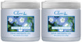 Clear Air 15oz Gel Odor Eliminator - Absorb & Remove Strong Odors from Pets, in Bathrooms, Basements, Garage, Cars, RVs & Boats - Eliminate Tough Odors with Essential Oils (Vanilla Lavender, 2-Pack)