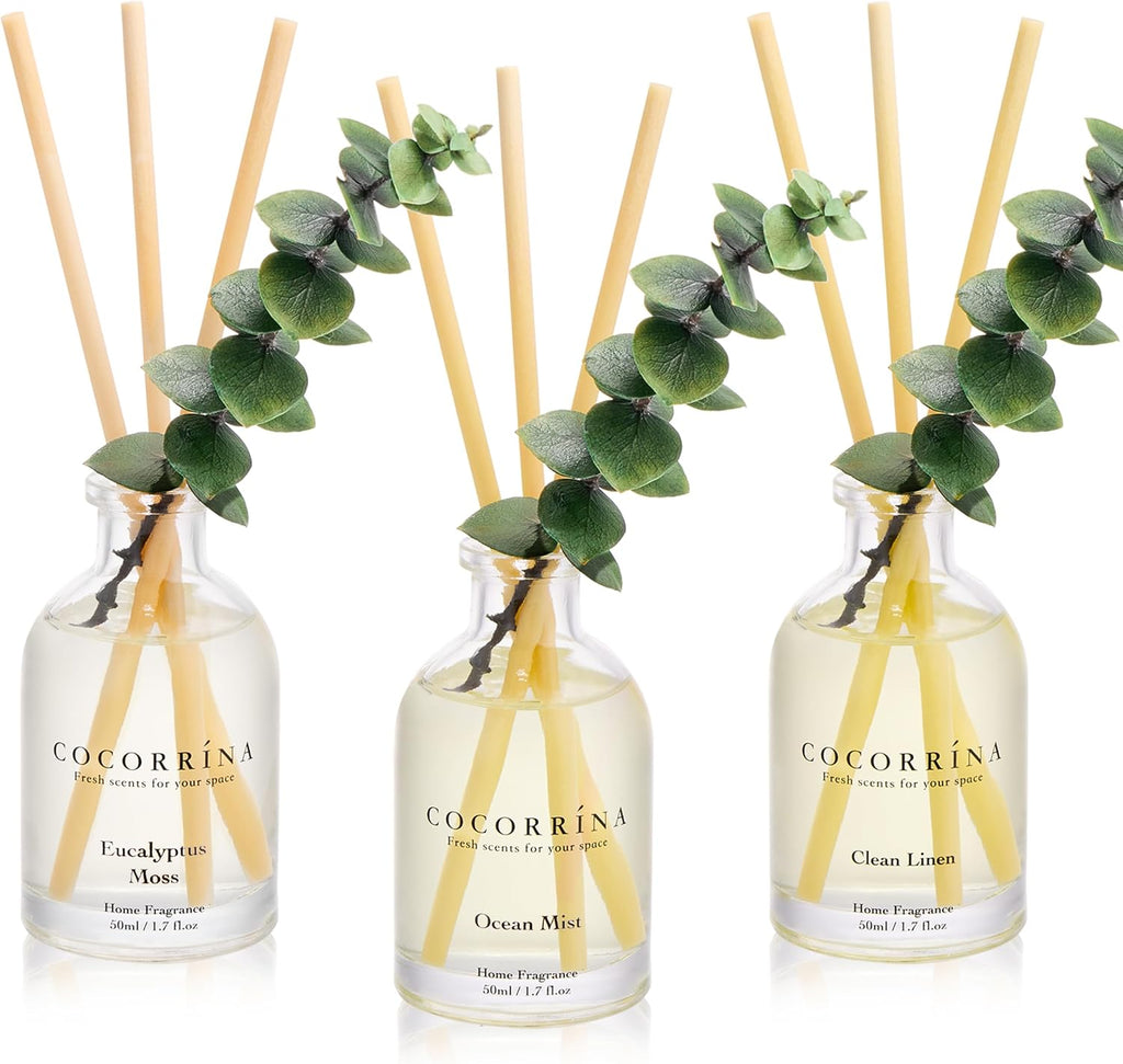 COCORRÍNA Reed Diffuser Set of 3 with Dried Eucalyptus for Home & Office