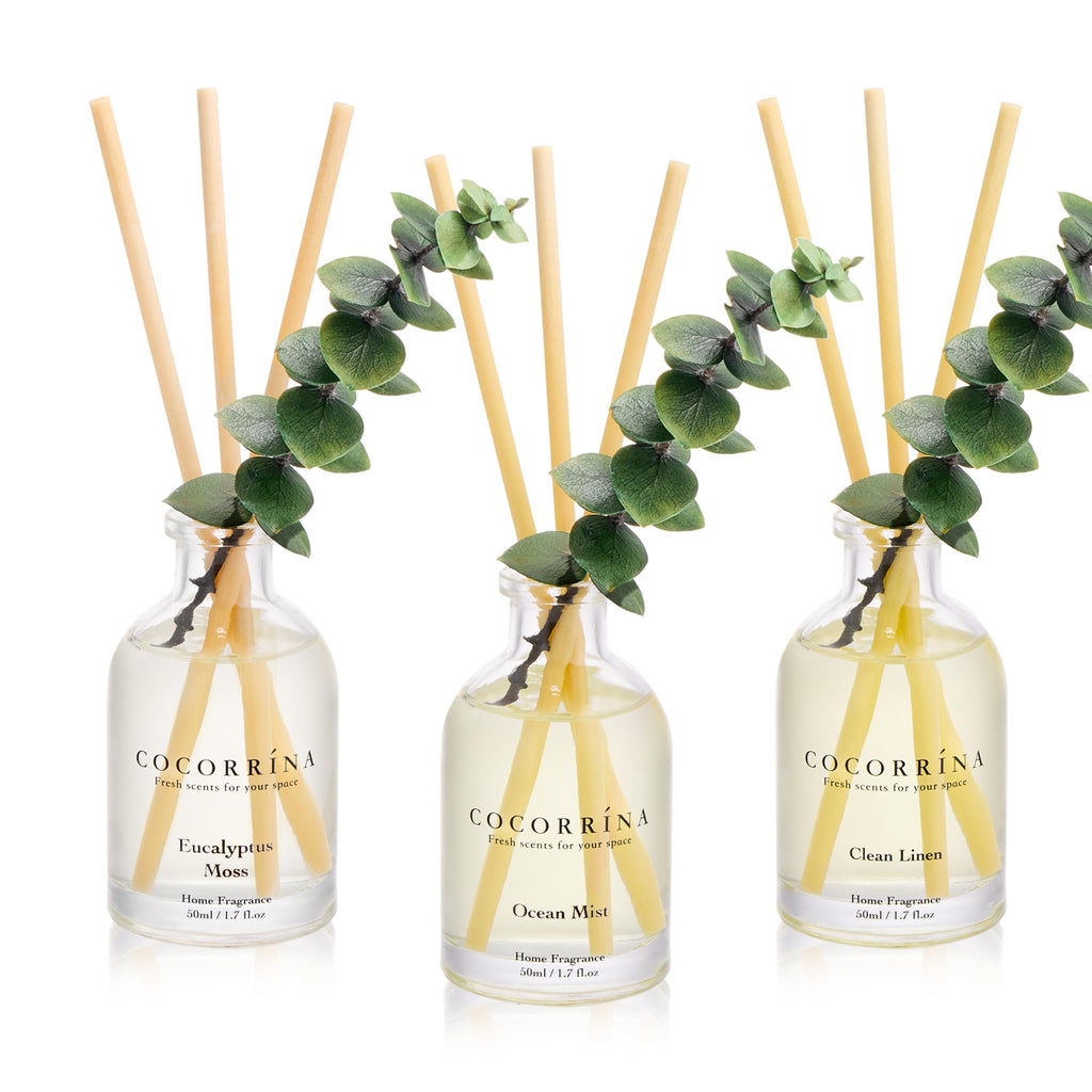 COCORRÍNA Reed Diffuser Set of 3 with Dried Eucalyptus for Home & Office