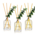 COCORRÍNA Reed Diffuser Set of 3 with Dried Eucalyptus for Home & Office