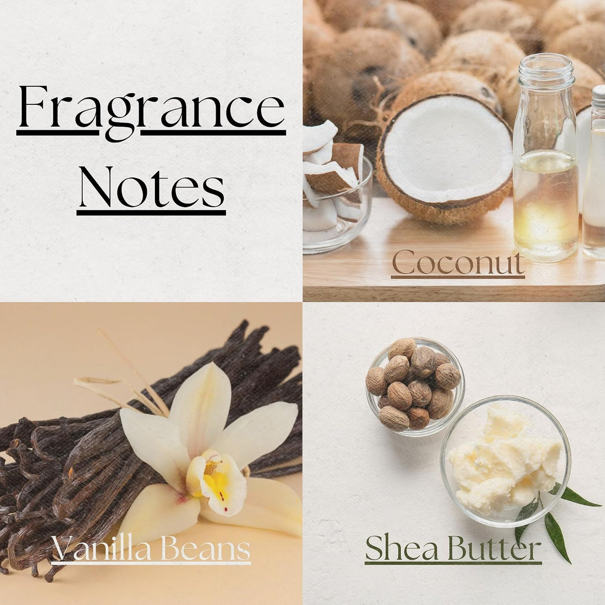 PEANÄK Reed Diffuser Set - Coconut Vanilla 6.7 fl oz | Scented Oil Diffuser with 8 Sticks for Bathroom Shelf Decor & Home Fragrance