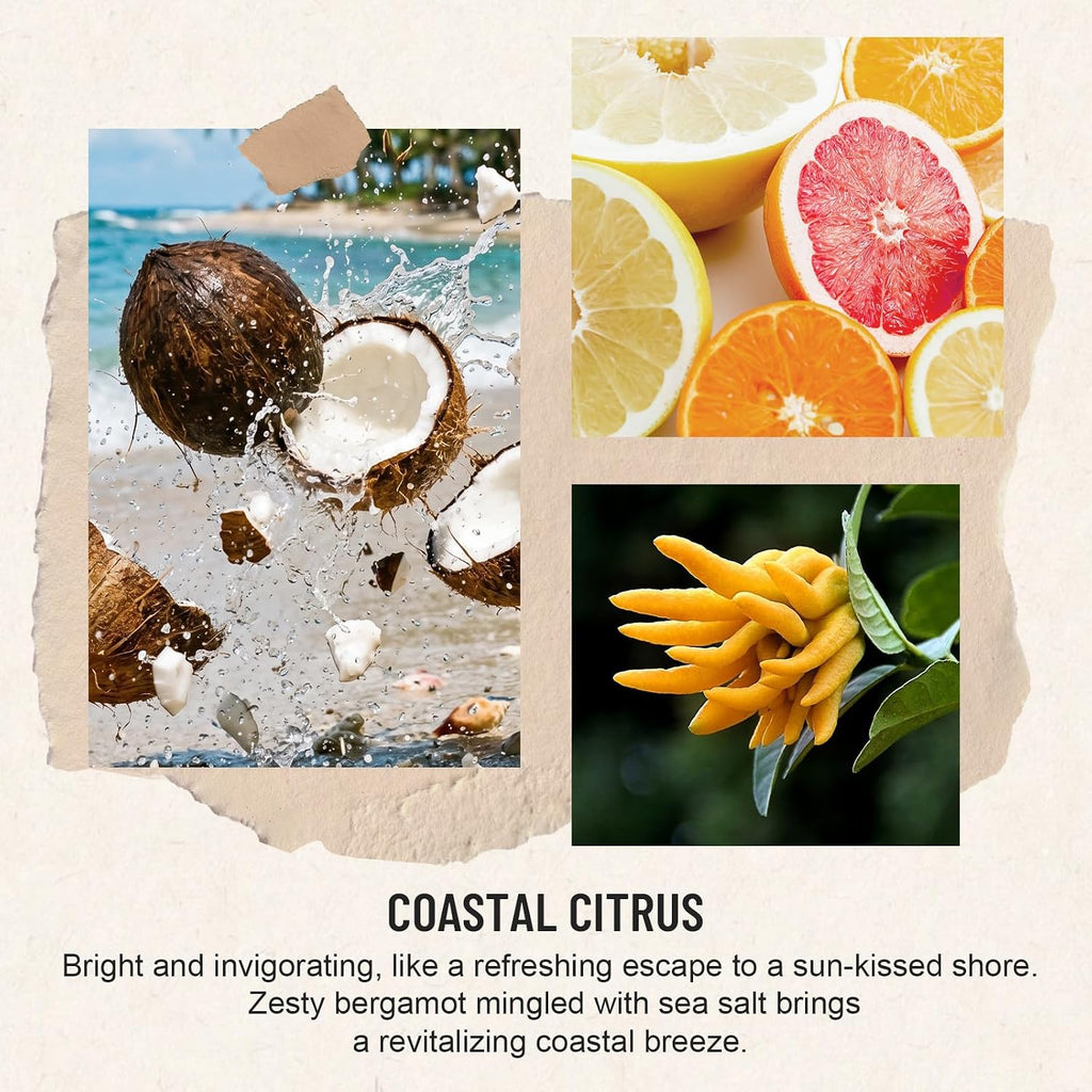 Auelife Reed Diffuser for Home, Coastal Citrus Scent Diffuser 2 Pack 8Fl Oz
