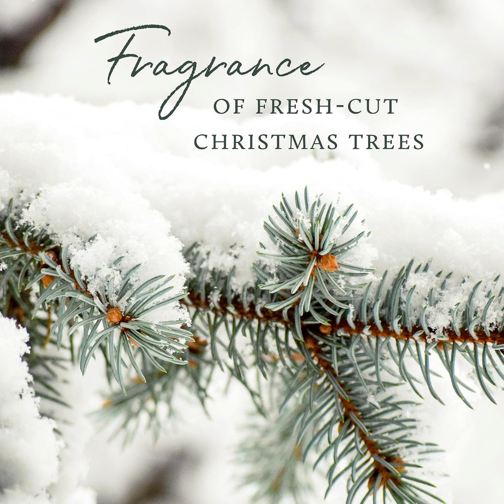 Thymes Frasier Fir Reed Diffuser Set – Includes Reeds, Fragrance Oil, and Frosted Glass Bottle – Fragrance Oil Diffuser – Room Fresheners – Luxury Home Decor – Green & Clear (Pine Needle, 4 fl oz)