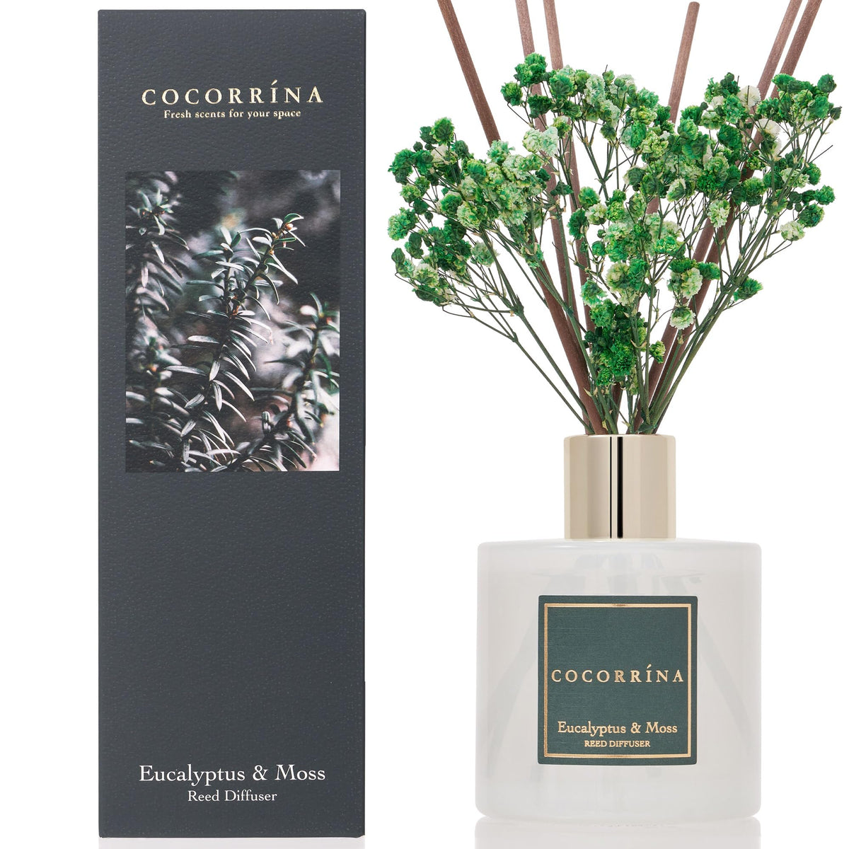 Cocorrína Reed Diffuser Set, Clean Linen 6.7 fl oz Scented Diffuser with Sticks Home Fragrance Reed Diffuser for Bathroom Shelf Décor
