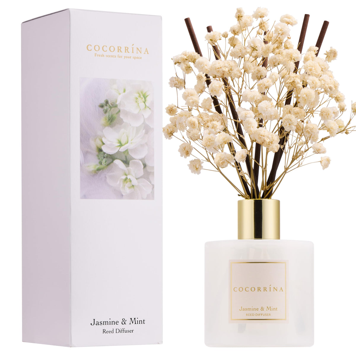 Cocorrína Reed Diffuser Sets- Eucalyptus & Moss Scented Diffuser with Sticks Home Fragrance Reed Diffuser for Bathroom Shelf Decor