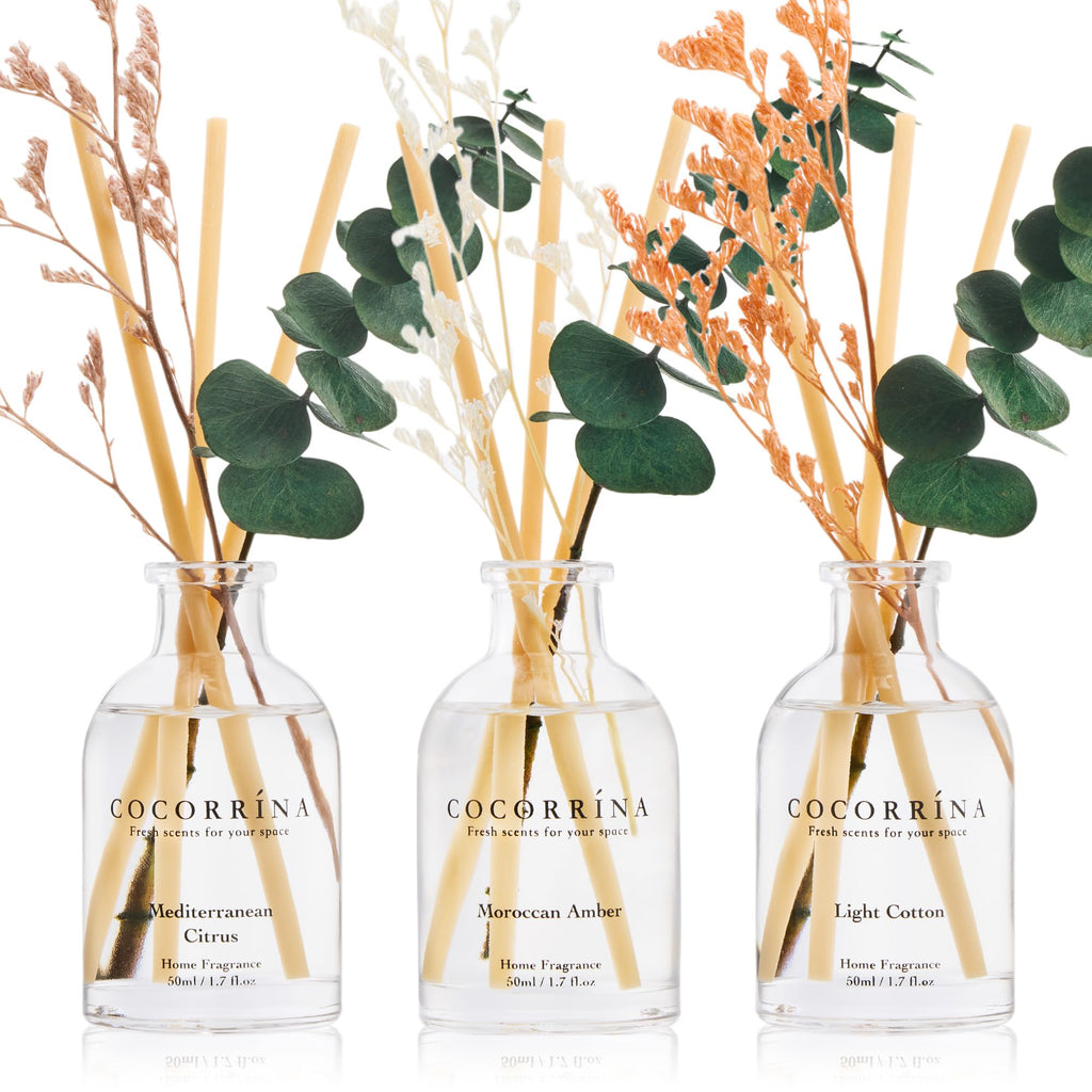 COCORRÍNA Reed Diffuser Set of 3 with Dried Eucalyptus for Home & Office